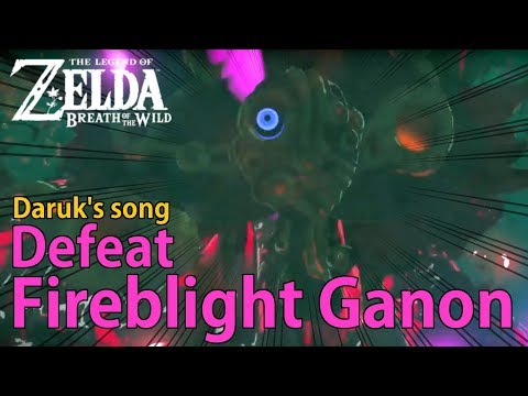 EX Champion Daruk's Song - How to defeat Fireblight Ganon.