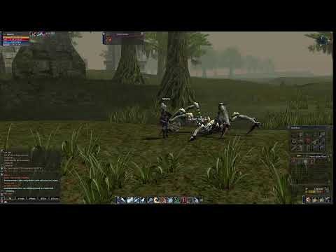 Lineage II: The Chaotic Chronicle 3: Rise of Darkness Firebird x1