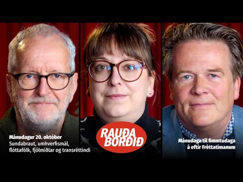 Sundabraut, umhverfismál, flóttafólk, fjölmiðlar og transréttindi