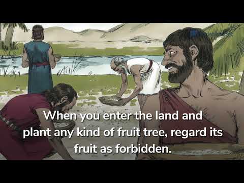 Leviticus 19: Various Laws | Bible Stories