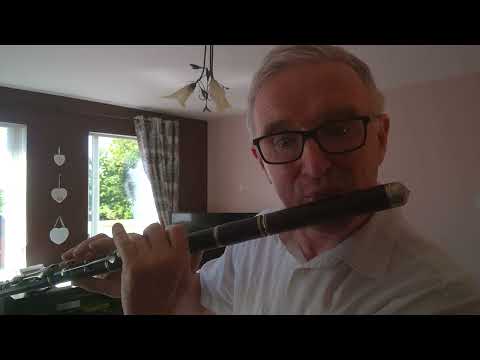 Antique D flute Cocuswood 8 key - Image 2