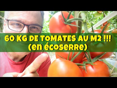 , title : '60 kilos de tomates au m2 !!! Et de février à octobre ! 😳'