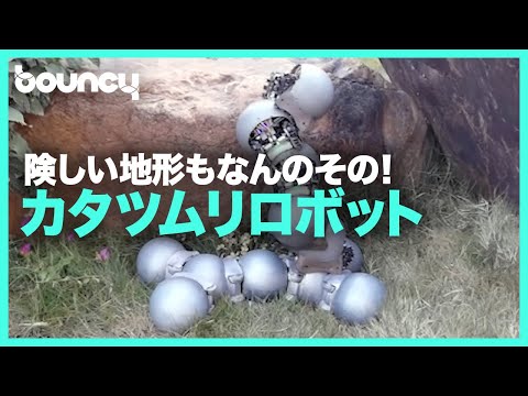 カタツムリからヒントを得た接着剤を開発