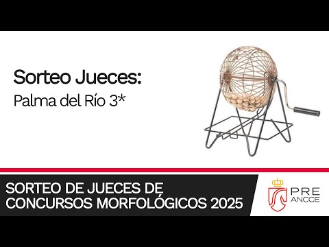 Sorteo de Jueces para el concurso de PALMA DEL RÍO