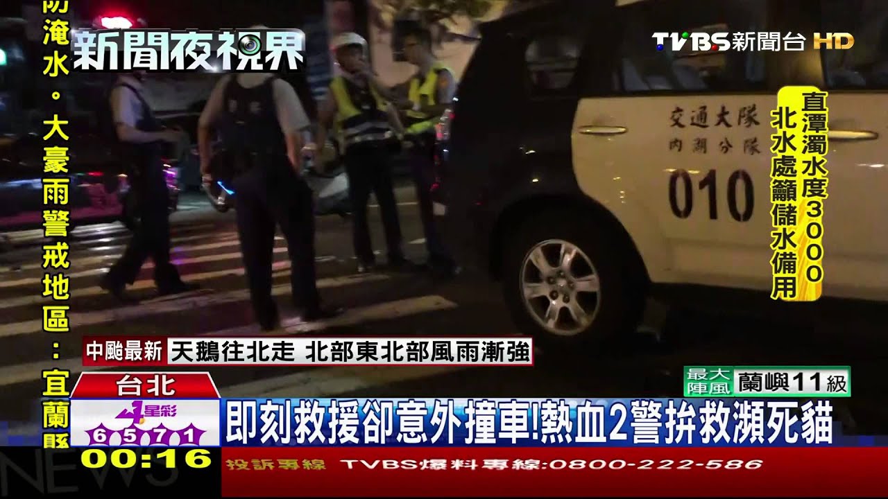 服務民眾拚救瀕死貓 熱血警撞車恐賠