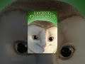 Legend of the Guardians The Owls of Ga