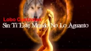 Sin Ti Este Mundo No Lo Aguanto