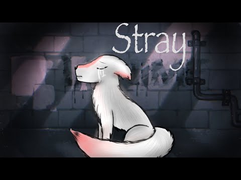 download lagu mp3 mp4 Stray, download lagu Stray gratis, unduh video klip Stray