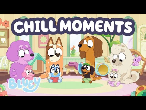 🔴LIVE: Chill Out with Bluey ☺️ | Baby Race Full Episode + More Moments 💕 | Bluey