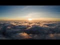Cathartic Fall Angel Lyric Video