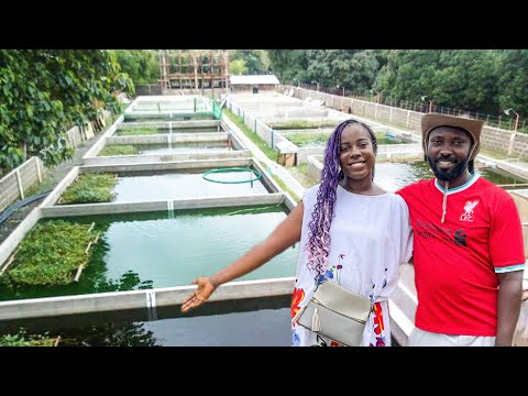 How This Nigeria Couple Started A Profitable Fish Farm In Africa