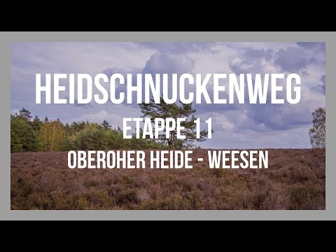 Heidschnuckenweg | Etappe 11 - Oberoher Heide - Weesen | Lüneburger Heide | GPS-Track