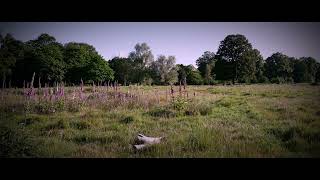 Music video thumbnail preview for Fucked Up - \ by Fucked Up