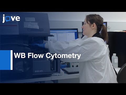 WB Flow Cytometry Analysis for Characterizing Monocyte Subset | Protocol Preview