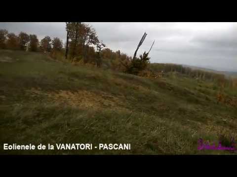 Eolienele de la VANATORI   PASCANI