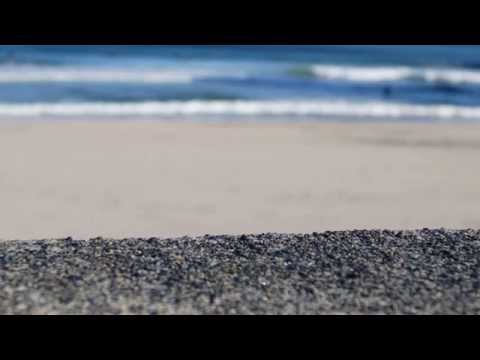 Don Robertson - Anything That's Part Of You