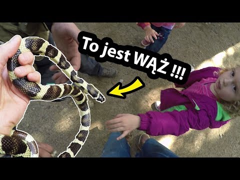 Prawdziwy Wąż  !!! - Trzymam Go w Ręce ... (Vlog #239)