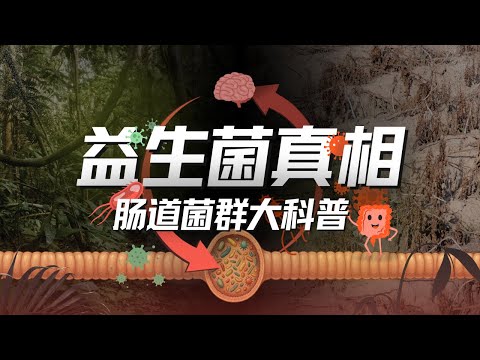 Thumbnail for E193｜吃益生菌是智商税吗？全面复盘肠道健康迷思