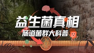 Thumbnail for E193｜吃益生菌是智商税吗？全面复盘肠道健康迷思