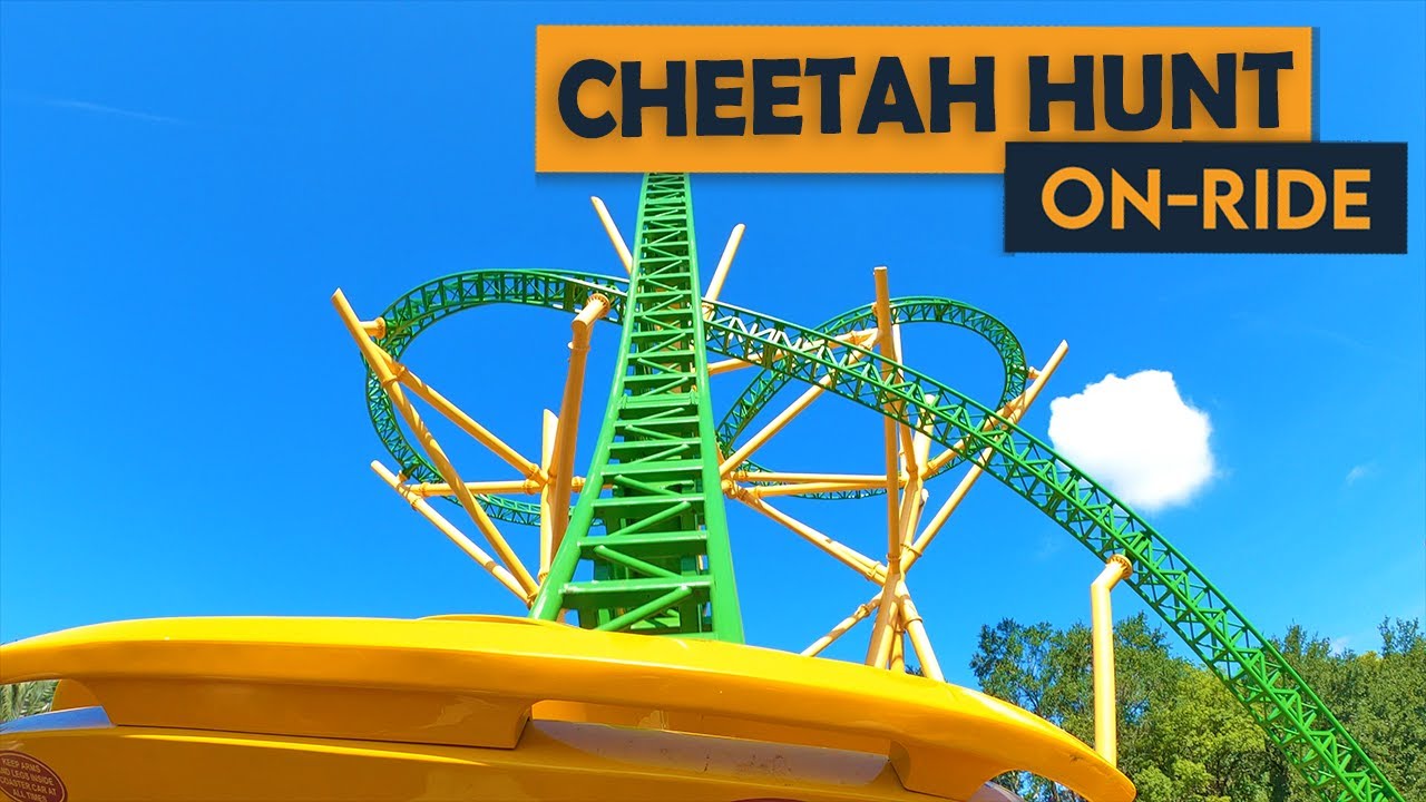 Watch Cheetah Hunt on YouTube