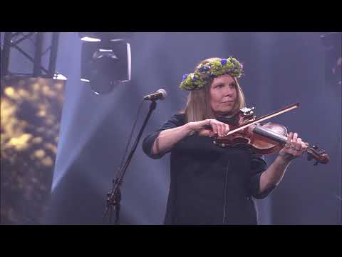 Iļģi - Visu gadu Jānītis jāja