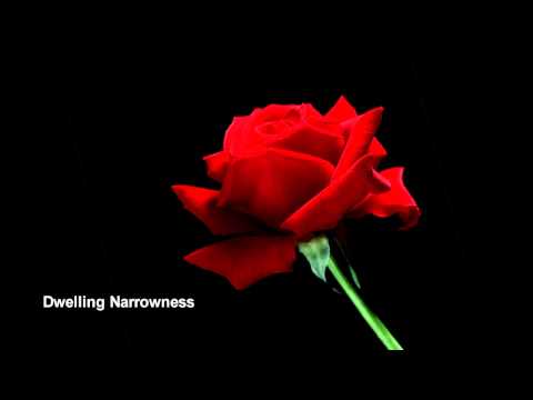Dwelling Narrowness [M] Piano