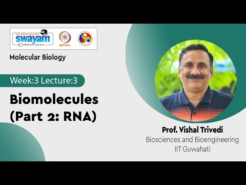 Molecular Biology Introduction Video