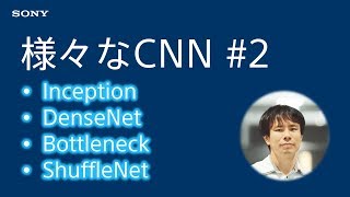 - Deep Learning精度向上テクニック:様々なCNN #2