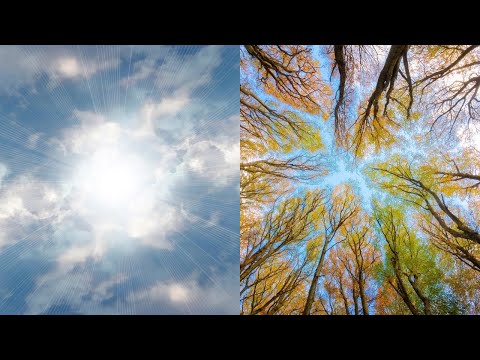 NAMASZCZONY O NATCHNIENIACH I ZIEMI KRÓLEWSKIEJ. OPIS.