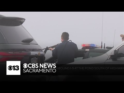 Former Sacramento County deputy kills his son before dying in police shooting