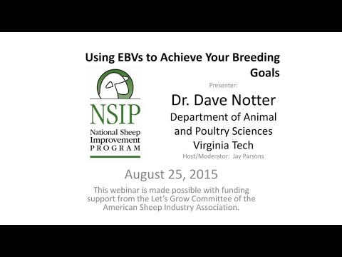 , title : 'Using Estimated Breeding Values (EBV) for Sheep (13)'