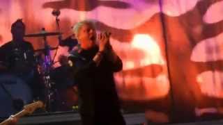 The Offspring - Not The One (Live@Ruisrock 2014)