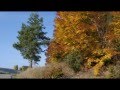 Lindisfarne - Scotch Mist (0:30, UK, instr. 1970)
