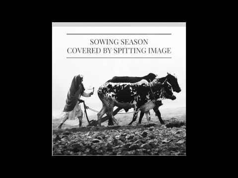 Sowing Season- Brand New (Acoustic Cover)