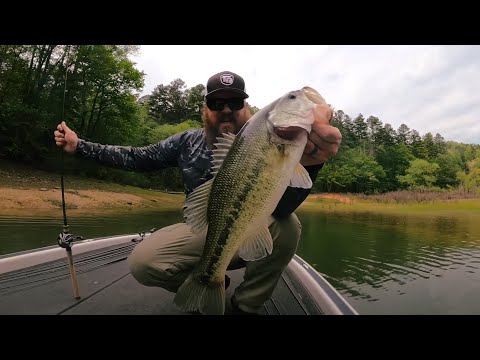 Fishing A New Lake - Best Tricks To Find Fish!