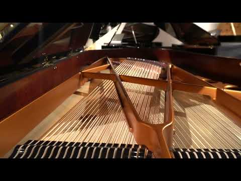 Bösendorfer 280 VC Demonstration Featuring Rob Mullins