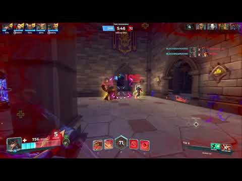 paladins is bug free :D