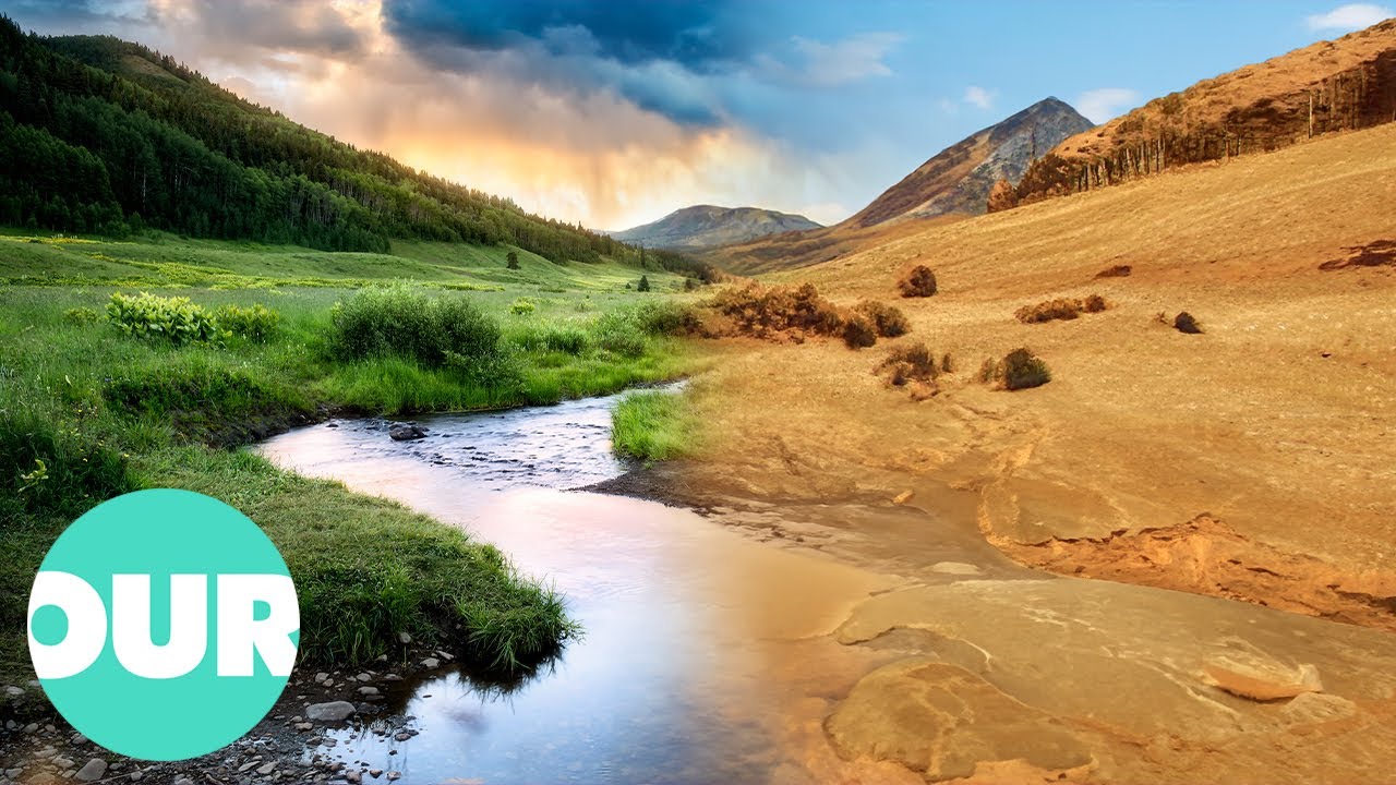 Emerging Desert Threatens Biodiversity In Central Spain