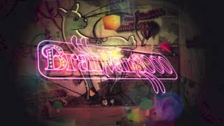 Bran Van 3000 - The Answer