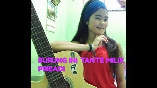 Download lagu LAGU BATAK BURUNG INI TANTE MILIK PRIBADI mp3