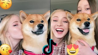 KISS YOUR DOG ON THE HEAD PART 3 😘 TIKTOK TRENDS ❤️CUTE AND SWEET DOGS 🐶
