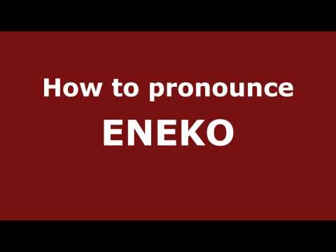 How to Pronounce ENEKO in Spanish - PronounceNames.com
