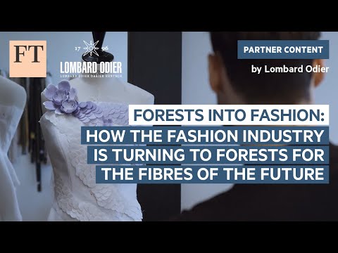 时装业如何转向森林以获取未来的纤维（How the fashion industry is turning to forests for the fibres of the future | Rethink Sustainability）