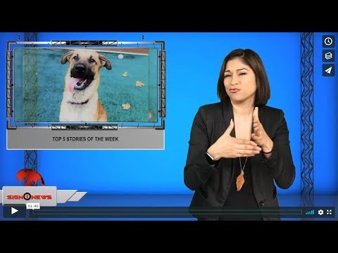 Top 5 stories of the week (ASL - 12.1.19)