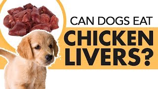 Can dogs eat Chicken Livers
