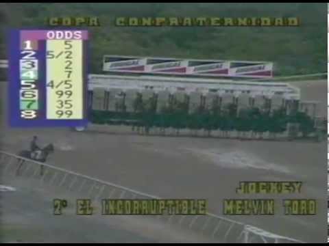 Copa Confraternidad 1995 - El Incorruptible (DOM)
