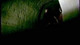 ¡ La Puerta Verde !   The Family