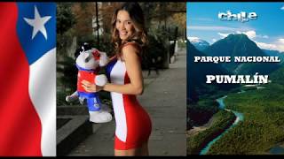 CHILE País de paisajes hermosos - Parque Nacional Pumalín (Región de Los Lagos)