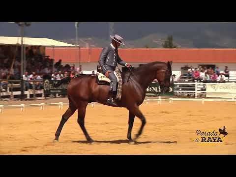 download lagu mp3 mp4 Pajito, download lagu Pajito gratis, unduh video klip Pajito