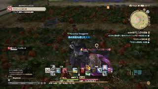 いろいろします。 FF14 非実況